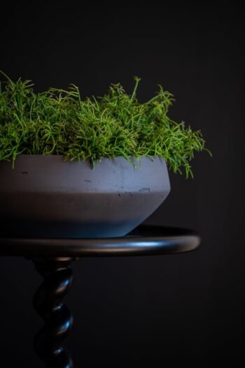 Vazonas MADU M, Ø36xH12,5 cm, matinis juodas