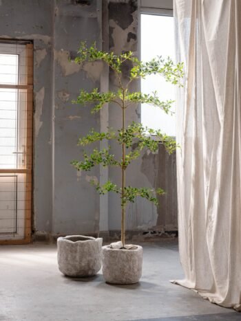 Vazonas MESA L, Ø54xH45 cm, akmens pilkas