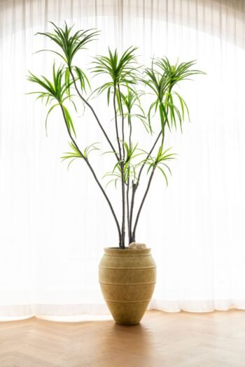 Vazonas ROMERA L, Ø38xH48 cm, smėlinis