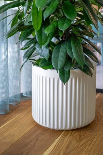 Vazonas TURRIS LOW S, Ø40xH36 cm, kreminis baltas