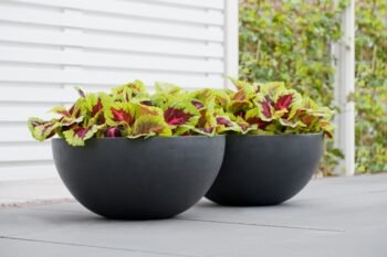 Vazonas VIC BOWL L, Ø60xH28 cm, juodas