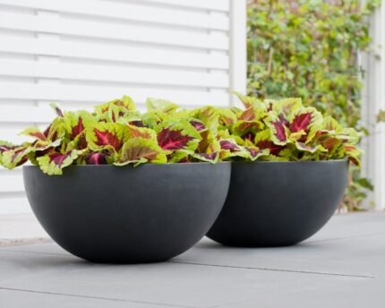 Vazonas VIC BOWL L, Ø60xH28 cm, tamsiai pilkas