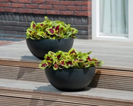 Vazonas VIC BOWL S, Ø38,5xH18 cm, tamsiai pilkas