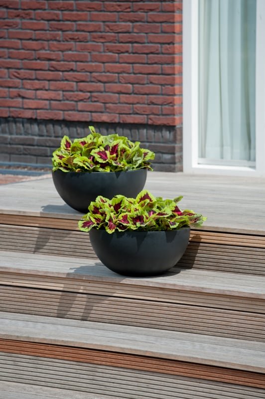 Vazonas VIC BOWL S, Ø38,5xH18 cm, tamsiai pilkas