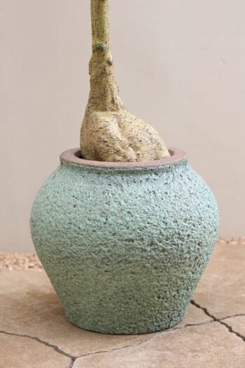 Vazonas ZEUS S, Ø37xH32 cm, melsvai žalias