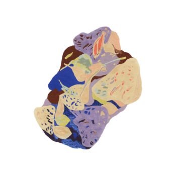 Vilnonis kilimas EDENA, 220x260 cm